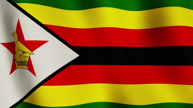Zimbabwe flag background waving full screen banner - seamless video animation loop