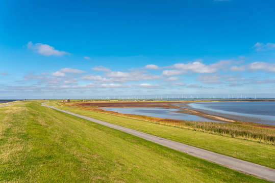 Dike land of the Beltringharder Koog near Luettmoorsiel