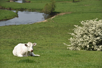 Obraz premium semois