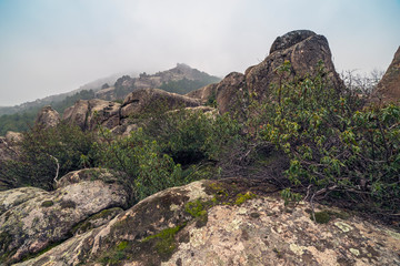 Niebla en la Cuerda de los Porrones en el Parque Regional de la Pedriza. Madrid. España. Europa.