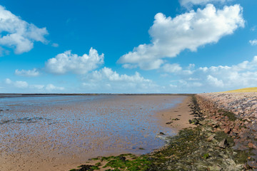 Mud Flats by Luettmoorsiel