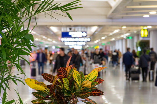 Beijing International Airport Terminal