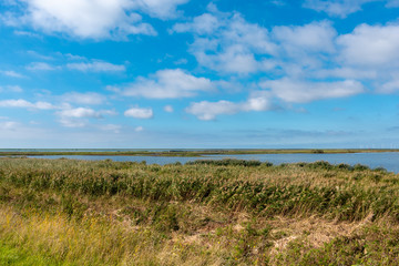 Landscape of the Beltringharder Koog near Luettmoorsiel