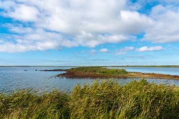 Landscape of the Beltringharder Koog near Luettmoorsiel