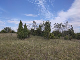 Deliblato european desert sandy terrain landscape Banat Serbia