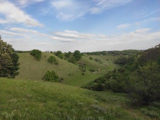 Obraz premium Zagajicka brda Deliblato green desert Serbia landscape