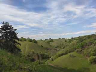 Naklejka premium Zagajicka brda Deliblato green desert Serbia landscape