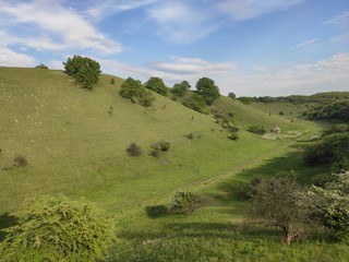 Zagajicka brda Deliblato green desert Serbia landscape