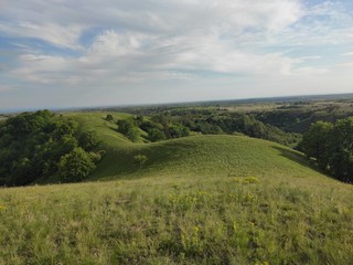 Naklejka premium Zagajicka brda Deliblato green desert Serbia landscape
