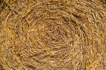 close up of hay roll