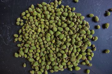 green pine cones on a black background