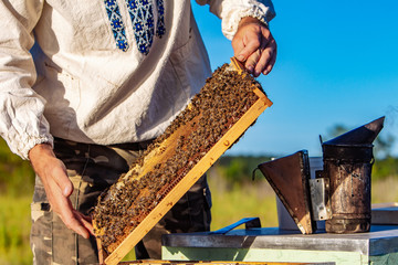 Beekeeper is working with bees and beehives on the apiary.