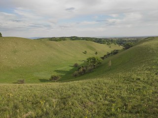 European green desert Deliblato sandy terrain landscape Serbia 