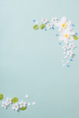 white narcissus and cherry flowers on green paper background