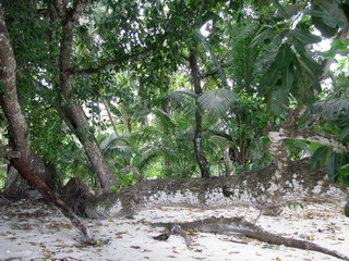 Fototapeta premium Andaman and Nicobar Islands