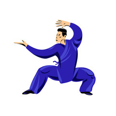 A man shows performing a kung fu wushu stand isolated on a white background. Vector illustration.