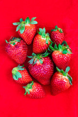 fresh strawberries on a red background