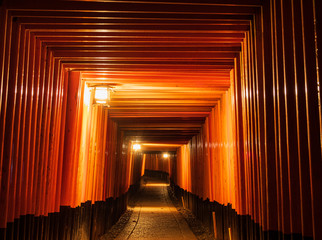 京都　伏見稲荷　夜の千本鳥居