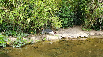 Zoo Hannover (Germany)	
