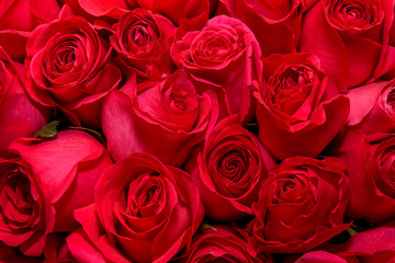 Background of bouquets of flowers. Roses. Design. Close up.