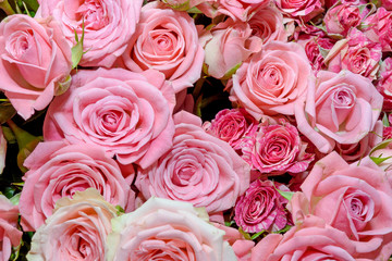 Obraz na płótnie Canvas Background of bouquets of flowers. Roses. Design. Close up.