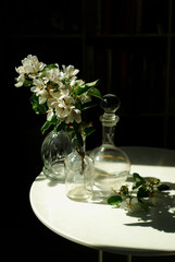 Flowering branch of apple tree and bottle