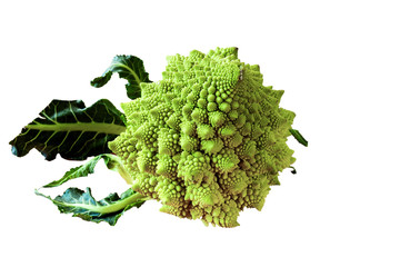 cauliflower isolated with leaves