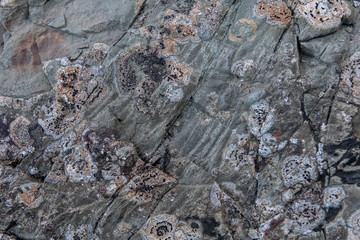 The stones texture and background. The rock backdrop