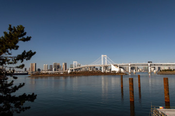 Obraz premium Tokyo skyline and bridge
