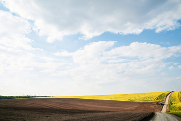 Beautiful yellow rapeseed field landscape. Countryside village rural natural background .Green and...