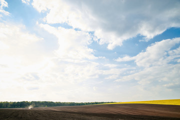 Beautiful yellow rapeseed field landscape. Countryside village rural natural background .Green and yellow plants on brown ground and blue sky with clouds. Nature protection concept.