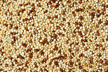 quinoa texture macro top view
