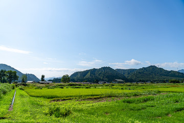【ふるさとイメージ】夏の只見駅付近の風景