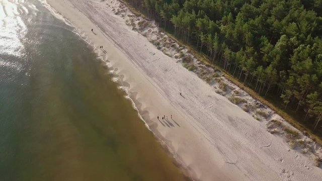 Aerial shot of the group of people walking early in the morning on the Baltic seaside. Drone descends as the group walks forward.