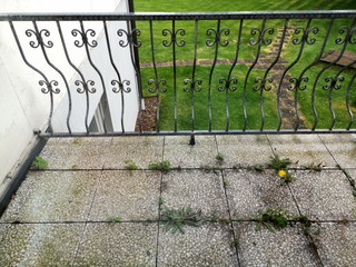 Verziertes Geländer aus Schmiedeeisen an einem mit Unkraut bewachsenen Balkon mit Blick in den...