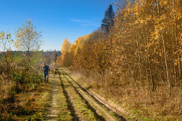 woodland walk