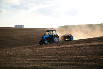 Obraz premium Agricultural work on field with black soil. Blue tractor riding and seeding countryside. Rural works in spring. Environmental protection concept. Ecological products cultivation. Natural background.