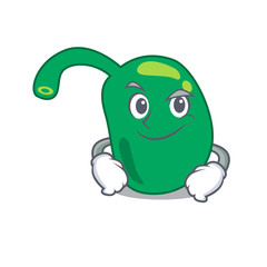 A cute arrogant caricature design of pineal having confident gesture