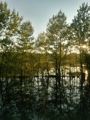Obraz premium lake reflecting green forest close to the woods in summer season on sunny day with blue sky