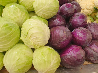 White cabbage and Purple cabbage in the market	