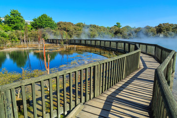 Fototapeta premium A wooden walkway across the steaming hot geothermal lake in Kuirau Park, Rotorua, New Zealand
