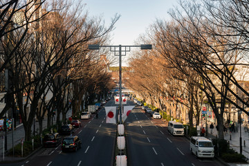 Tokyo street