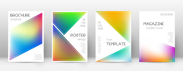 Flyer layout. Triangle impressive template for Bro