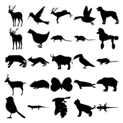 Set of 25 animals. Colibri, Duck, Elk, Chicken, Armadillo, Poodle, Cougar, Dog, Bull, Toucan, Rat, Deer, Syrian Hamster, Butterfly, Seal, Grizzly Bear, Bird, Goshawk, Kitten, Lizard.