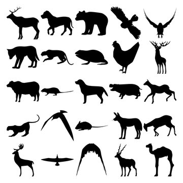 Set of 25 animals. Bear, Owl, Wolf, Panther, Frog, Chicken, Cow, Rat, Labrador, Hippopotamus, Elk, Leopard, Mouse, Dog, Deer, Albatross, Goshawk, Antilope, Camel.