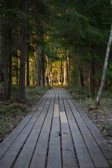 Wooden walkway in the evening park