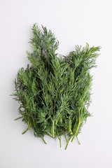 Fresh  green fennel on white background. Closeup, top view