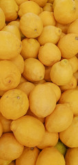 close up of lemons
