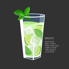 Mojito cocktail recipe ice mint lime vector illustration