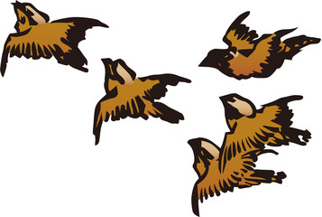 Obraz premium 浮世絵 鳥 その10